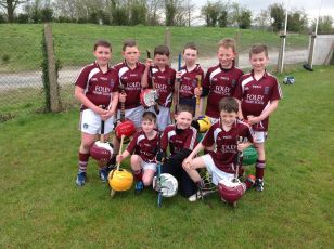 Foley Attend Hurling and Camogie Blitz